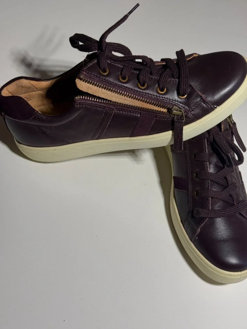 hotter chase shoes